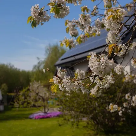 Apartmán Pod Lipa Ustka Exteriér fotografie